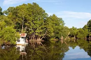 126 Arrowhead Cir, Wewahitchka, FL 32465 - Photo 15