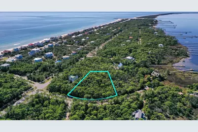 1935 Smugglers Cove Rd, Saint George Island, FL 32328 - Photo 3