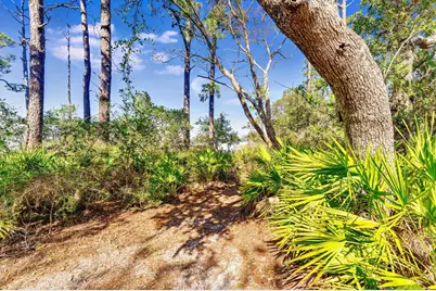 223 N Bay Shore Dr, Eastpoint, FL 32328 - Photo 69