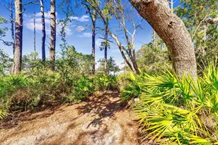 223 N Bayshore Dr, Eastpoint, FL 32328 - Photo 69