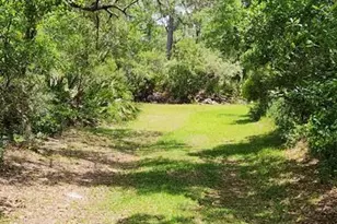 223 N Bayshore Dr, Eastpoint, FL 32328 - Photo 71