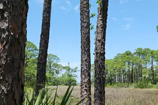 223 N Bayshore Dr, Eastpoint, FL 32328 - Photo 11