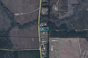 15817 SE Cr 69, Blountstown, FL 32424 - Photo 9