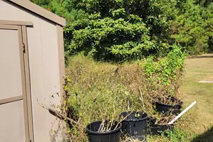 15817 SE Cr 69, Blountstown, FL 32424 - Photo 19