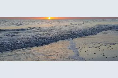 6134 Cr 30-A, Port Saint Joe, FL 32456 - Photo 61