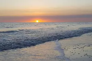 6134 Cr 30-A, Port Saint Joe, FL 32456 - Photo 61