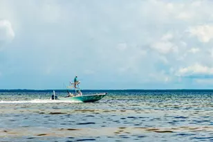 6134 Cr 30-A, Port Saint Joe, FL 32456 - Photo 53