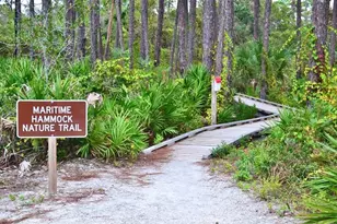 6134 Cr 30-A, Port Saint Joe, FL 32456 - Photo 55