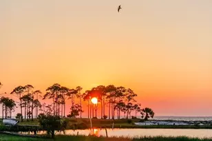 160 E Gorrie Dr, Saint George Island, FL 32328 - Photo 37