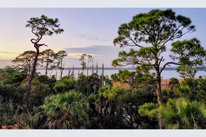 2624 Indian Pass Rd, Port Saint Joe, FL 32456 - Photo 11