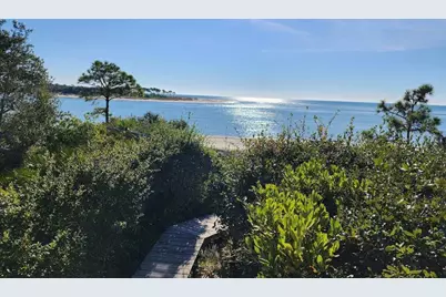 2624 Indian Pass Rd, Port Saint Joe, FL 32456 - Photo 21