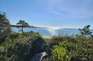 2624 Indian Pass Rd, Port Saint Joe, FL 32456 - Photo 21