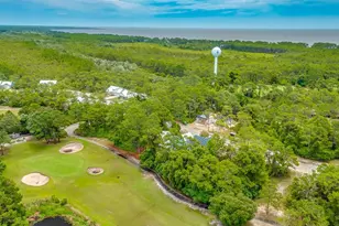 283 Royal Tern Way, Carrabelle, FL 32323 - Photo 41