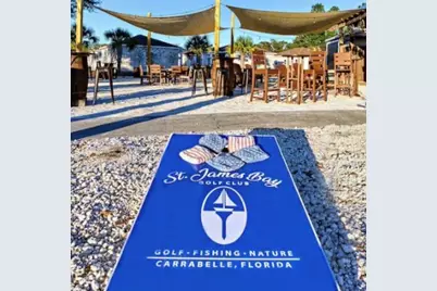 283 Royal Tern Way, Carrabelle, FL 32323 - Photo 43