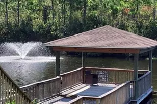 283 Royal Tern Way, Carrabelle, FL 32323 - Photo 47