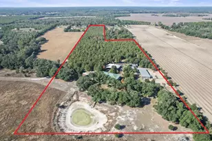 4686 Dunaway Rd, Bascom, FL 32423 - Photo 45