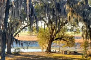 4686 Dunaway Rd, Bascom, FL 32423 - Photo 31