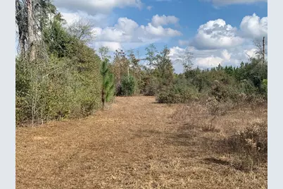 8225 SW Cr 12 Rd, Youngstown, FL 32466 - Photo 61