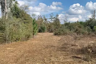 8225 SW Cr 12 Rd, Youngstown, FL 32466 - Photo 61