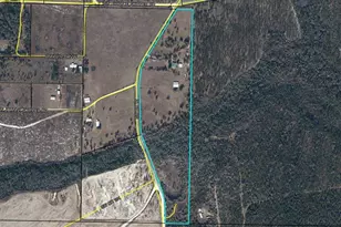 8225 SW Cr 12 Rd, Youngstown, FL 32466 - Photo 63