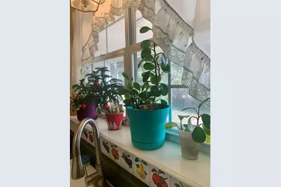 8225 SW Cr 12 Rd, Youngstown, FL 32466 - Photo 29