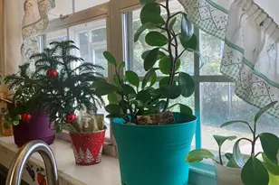 8225 SW Cr 12 Rd, Youngstown, FL 32466 - Photo 29