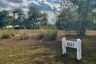 8225 SW Cr 12 Rd, Youngstown, FL 32466 - Photo 3