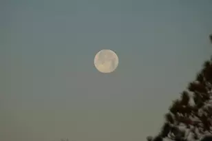 508 Tide Water Dr, Port Saint Joe, FL 32456 - Photo 49