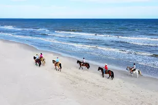 1214 Long Ave, Port Saint Joe, FL 32456 - Photo 33