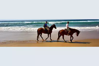 114 N Echo Ln, Port Saint Joe, FL 32456 - Photo 57