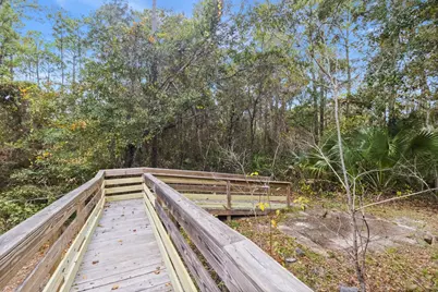 100 Melanie Ln, Apalachicola, FL 32320 - Photo 17