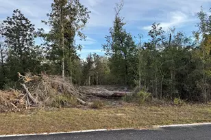 Lot 7 SE Cypress Point Rd, Kinard, FL 32449 - Photo 1