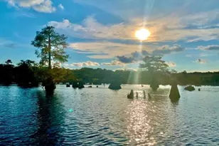 365 Jehu Rd, Wewahitchka, FL 32465 - Photo 11