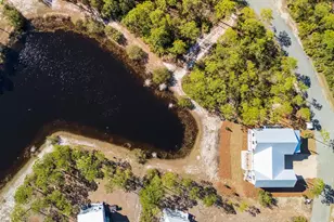 125 Lightning Bug Ln, Saint Teresa, FL 32358 - Photo 61