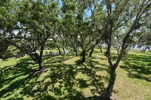 268 Pruett Rd, Eastpoint, FL 32328 - Photo 23