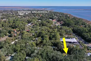 11 Shadow Ln, Apalachicola, FL 32320 - Photo 37