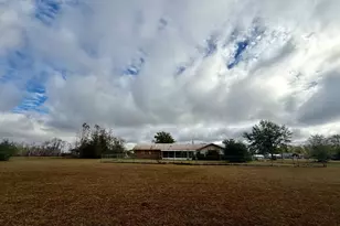 221 Annie Ave, Wewahitchka, FL 32465 - Photo 7