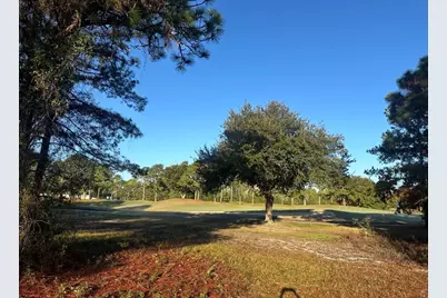 269 Royal Tern Way, Carrabelle, FL 32322 - Photo 3