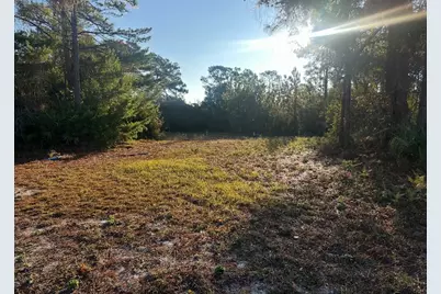 269 Royal Tern Way, Carrabelle, FL 32322 - Photo 5