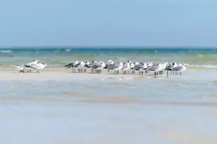 139 Lantana St, Cape San Blas, FL 32456 - Photo 67