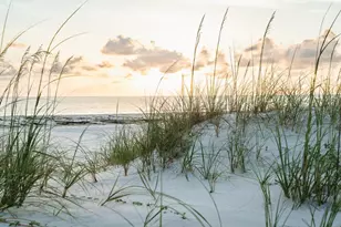 139 Lantana St, Cape San Blas, FL 32456 - Photo 71