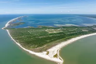 139 Lantana St, Cape San Blas, FL 32456 - Photo 71