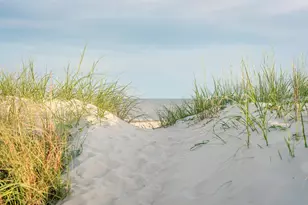 139 Lantana St, Cape San Blas, FL 32456 - Photo 65