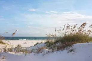 9425 Starfish Ave, Port Saint Joe, FL 32456 - Photo 25