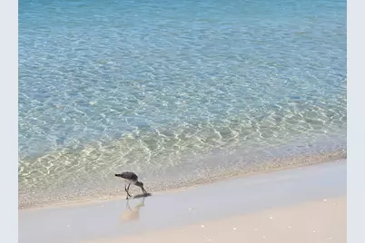 800 Hwy 98 #211, Mexico Beach, FL 32456 - Photo 27