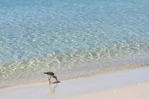 800 Hwy 98, Mexico Beach, FL 32456 - Photo 27