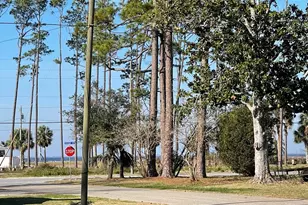 212 Twelfth St, Port Saint Joe, FL 32456 - Photo 21