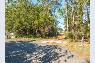 1247 Avocet Ln, Saint George Island, FL 32328 - Photo 1