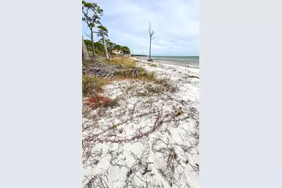 2714 Hwy 98 W, Carrabelle, FL 32322 - Photo 51