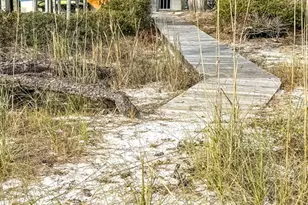 2714 Hwy 98 W, Carrabelle, FL 32322 - Photo 53